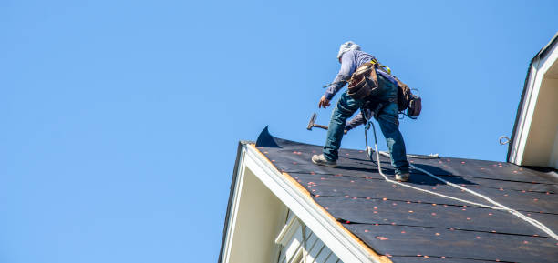 Best Roof Waterproofing Services  in Parkersburg, IA